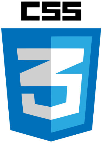 CSS Logo